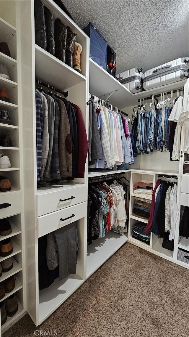 13817 Grant Way, Oak Hills, CA 92344 - spacious closet with carpet