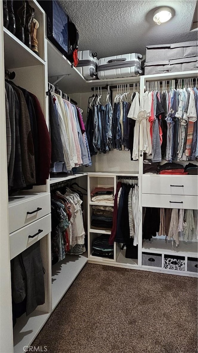 13817 Grant Way, Oak Hills, CA 92344 - walk in closet with carpet flooring