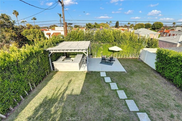8910 S 3rd Ave, Inglewood, CA 90305 - view of yard with a patio and exterior kitchen