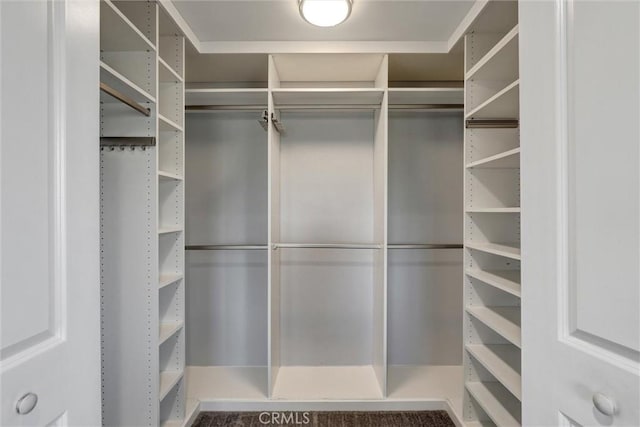 8910 S 3rd Ave, Inglewood, CA 90305 - view of spacious closet