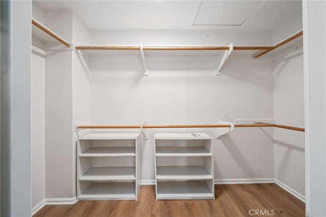 spacious closet featuring wood finished floors