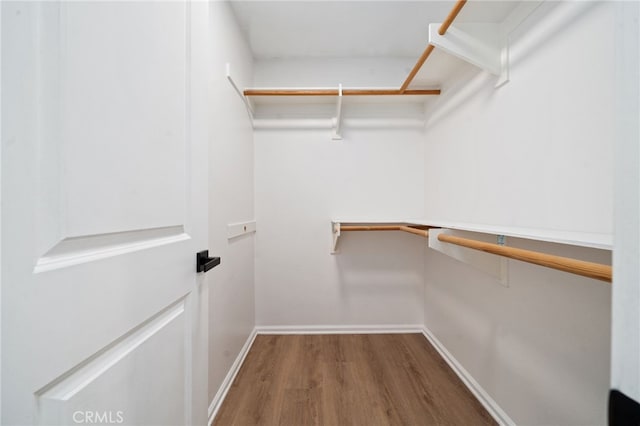 spacious closet with wood finished floors
