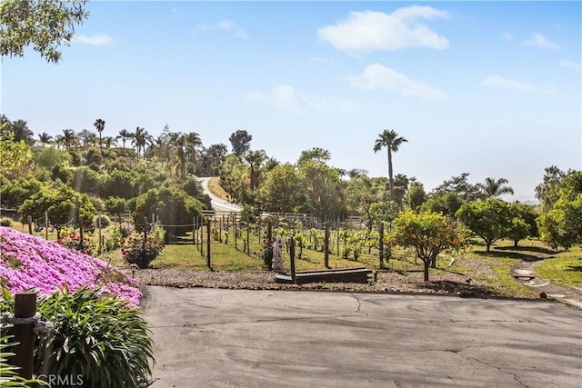 surrounding community with a patio area, fence, and view of wooded area