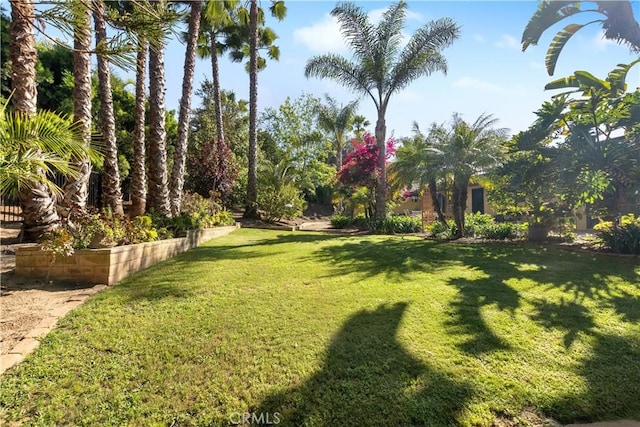 view of grassy yard