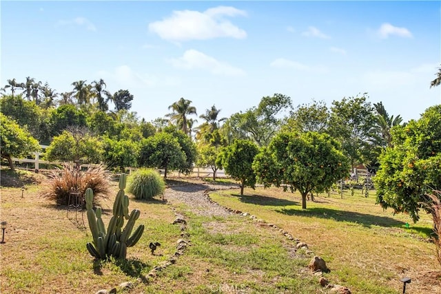 view of home's community