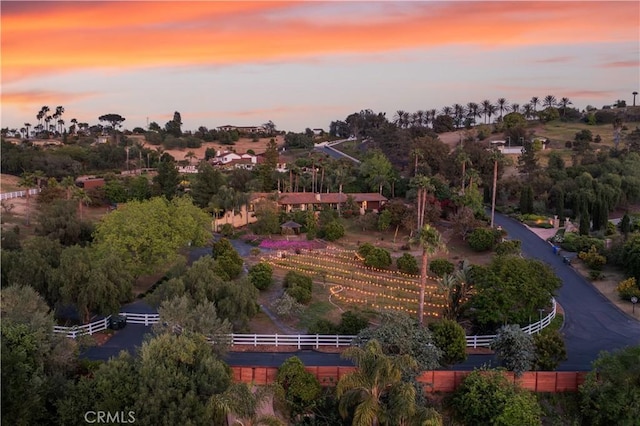 6731 Via De La Reina, Bonsall, CA 92003 - aerial view at dusk of view of scattered trees
