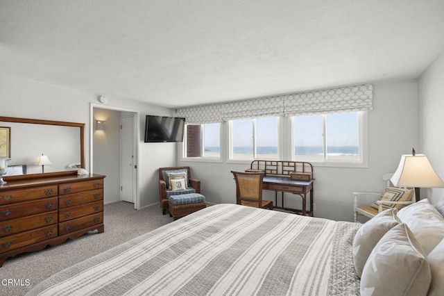 325 Ocean Dr, Oxnard, CA 93035 - view of carpeted bedroom