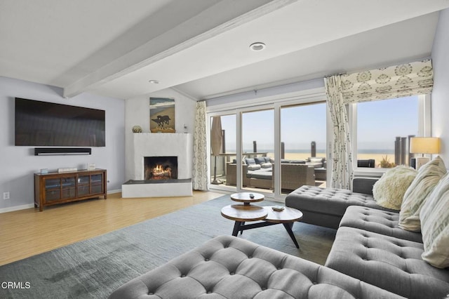325 Ocean Dr, Oxnard, CA 93035 - living room with a high end fireplace and wood finished floors