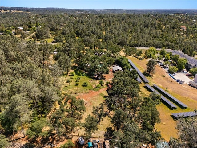 2831 Foothill Blvd, Oroville, CA 95966 - aerial view of a forest