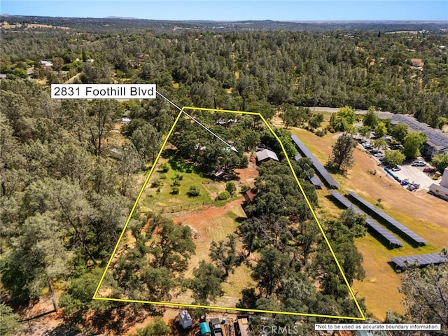 2831 Foothill Blvd, Oroville, CA 95966 - view of property location with a forest and property boundaries highlighted