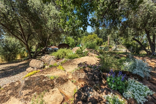 2831 Foothill Blvd, Oroville, CA 95966 - view of local wilderness