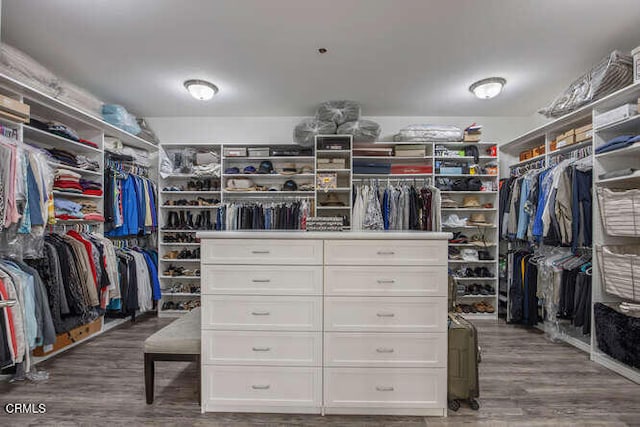 walk in closet featuring wood finished floors