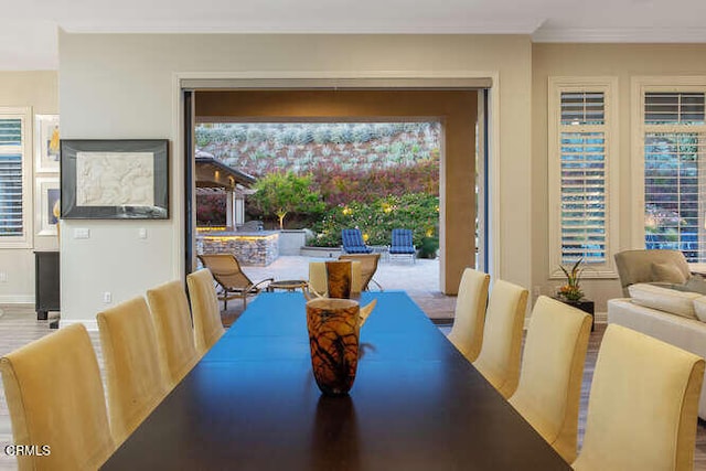 dining room with crown molding and plenty of natural light