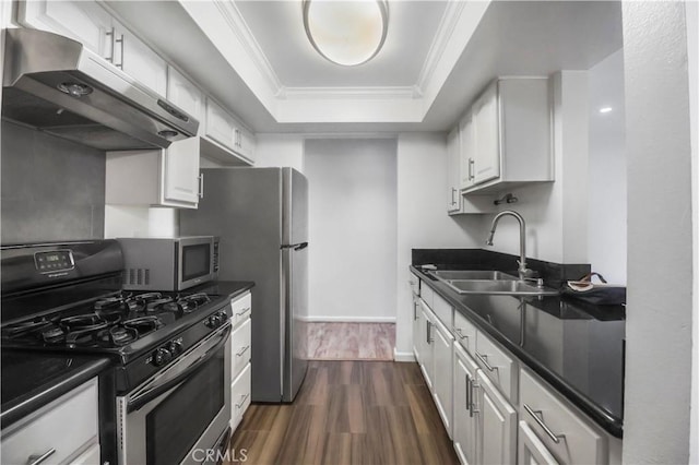 kitchen featuring stainless steel appliances, a sink, under cabinet range hood, a raised ceiling, and dark countertops