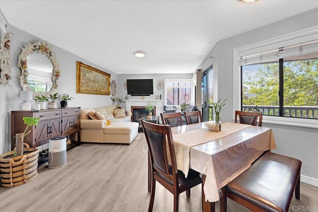 dining room featuring plenty of natural light, light wood-type flooring, and a fireplace