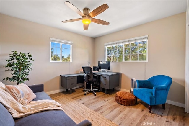 office with baseboards, light wood-type flooring, and a ceiling fan