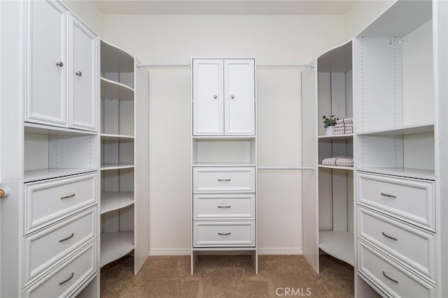 22069 Windham Way, Saugus, CA 91350 - spacious closet featuring carpet