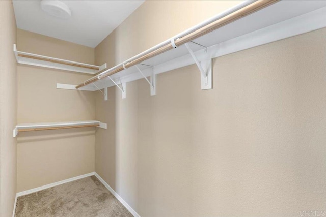 1514 Crown Ln Unit 1, Chula Vista, CA 91915 - walk in closet featuring carpet floors