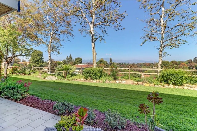 3364 Punta Alta Unit 1E, Laguna Woods, CA 92637 - view of yard