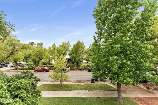 1540 Whitefield Rd, Pasadena, CA 91104 - surrounding community featuring a yard