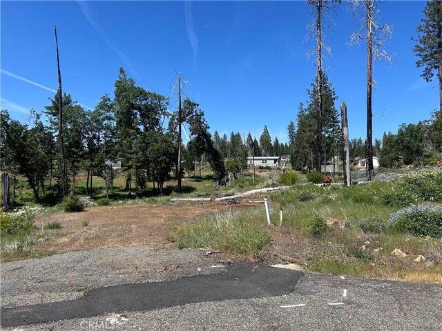 13664 Fritz Ct, Magalia, CA 95954 - photo 8