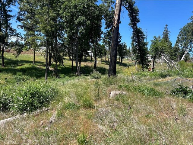 13664 Fritz Ct, Magalia, CA 95954 - photo 4