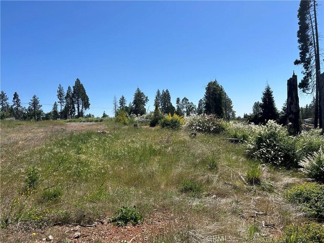 13664 Fritz Ct, Magalia, CA 95954 - photo 3