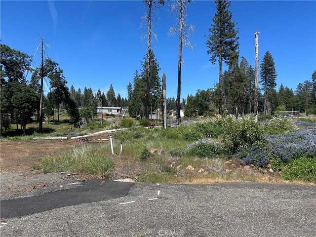 13664 Fritz Ct, Magalia, CA 95954 - photo 7