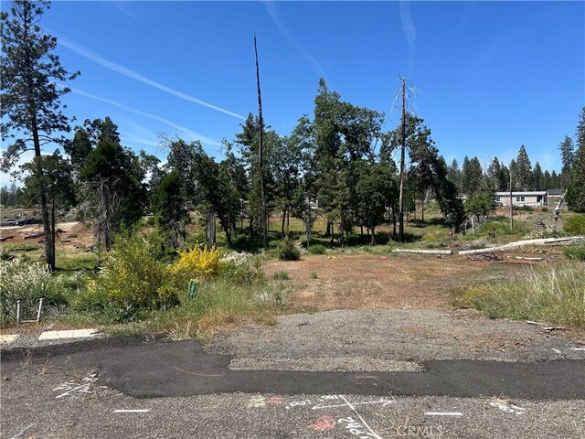 13664 Fritz Ct, Magalia, CA 95954 - photo 5
