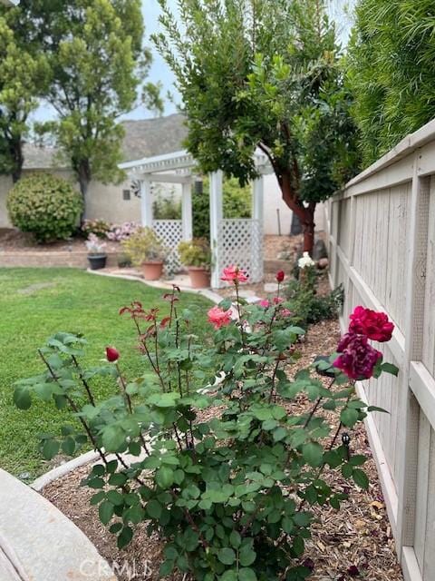 view of yard featuring a pergola