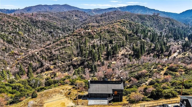 791 Cypress Rd, Lake Arrowhead, CA 92321 - view of mountain background with a heavily wooded area