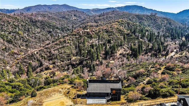 791 Cypress Rd, Cedar Glen, CA 92321 - mountain view featuring a forest
