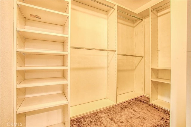 walk in closet featuring carpet