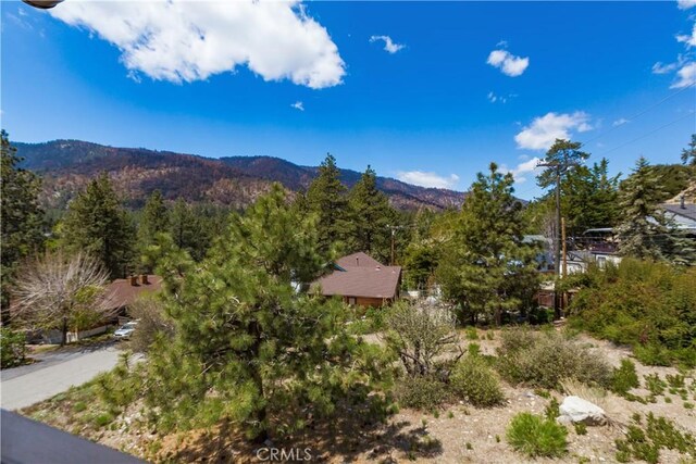 1054 Yellowstone Dr, Wrightwood, CA 92397 - photo 32
