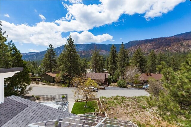 1054 Yellowstone Dr, Wrightwood, CA 92397 - photo 24