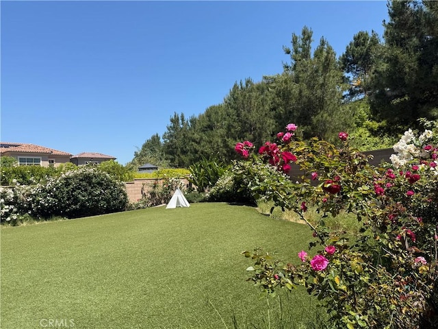 view of green lawn