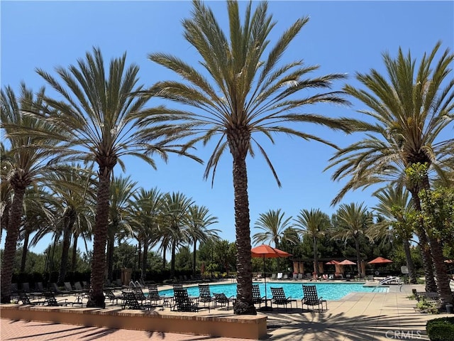 community pool with a patio