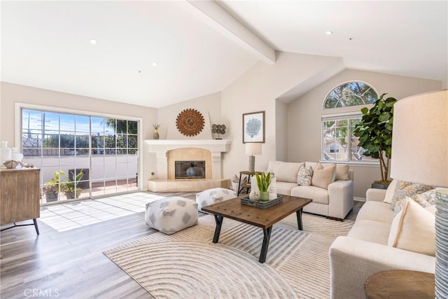 living area with wood finished floors, healthy amount of natural light, and a glass covered fireplace
