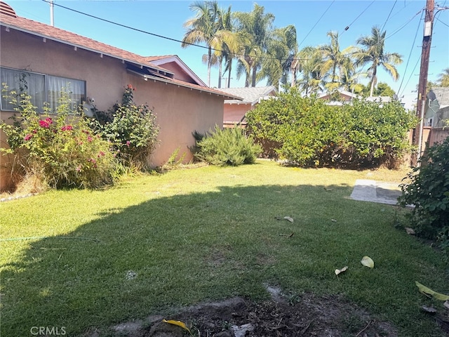 15602 Pitts Ave, Paramount, CA 90723 - view of yard