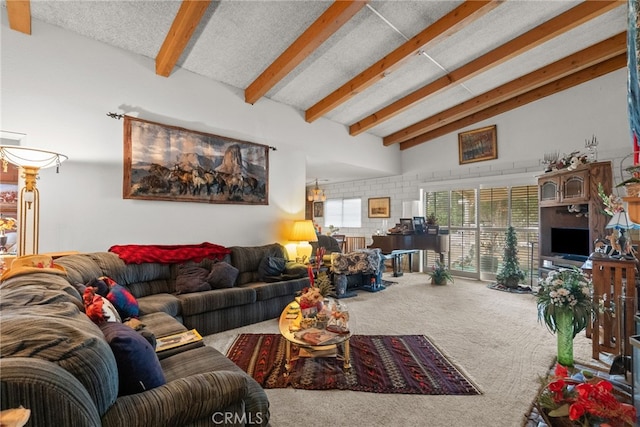 32923 Tindall Ave, Acton, CA 93510 - view of carpeted living area