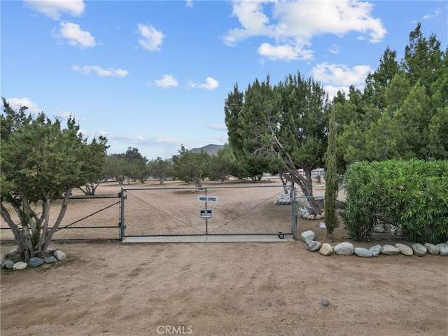 32923 Tindall Ave, Acton, CA 93510 - surrounding community with a gate and fence