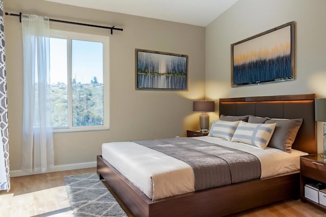 bedroom featuring wood finished floors, multiple windows, baseboards, and a baseboard radiator