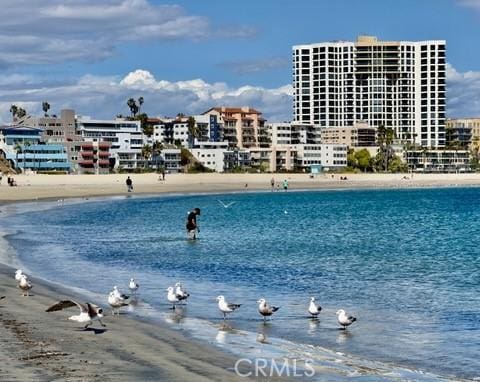1310 E Ocean Blvd E Unit 1001, Long Beach, CA 90802 - water view with local beach