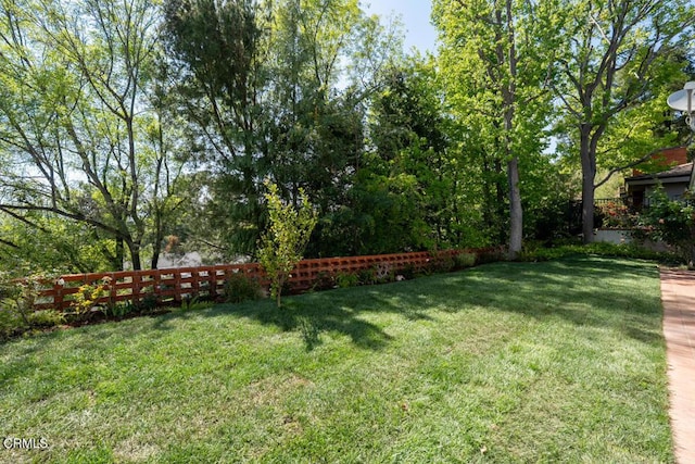 view of yard