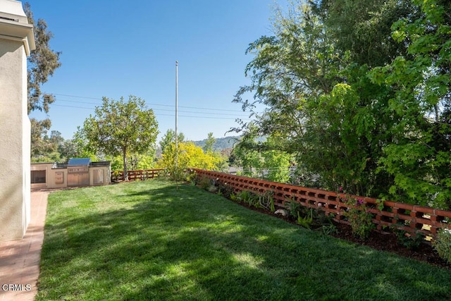 view of yard with area for grilling