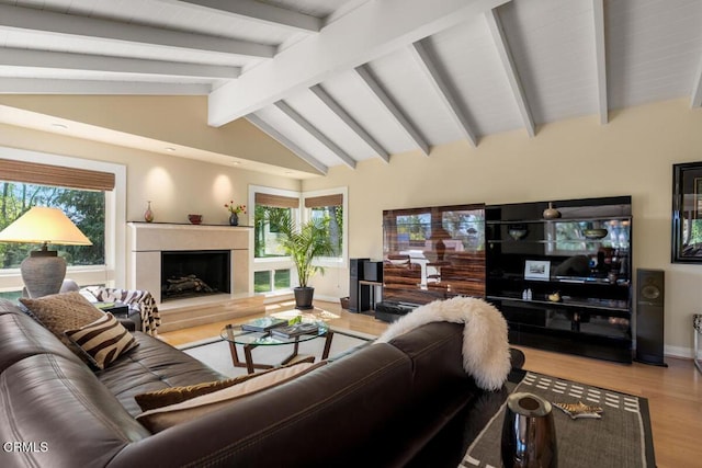 living area with wood finished floors, healthy amount of natural light, a fireplace, and baseboards