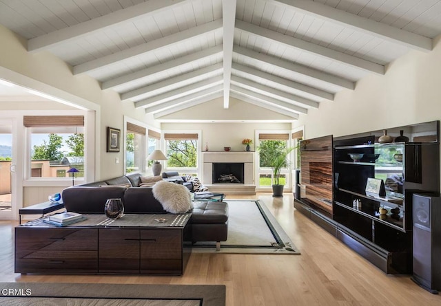5109 Redwillow Ln, La Canada Flintridge, CA 91011 - living room featuring light wood-type flooring, healthy amount of natural light, and a fireplace with raised hearth