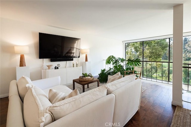 living area featuring plenty of natural light and dark wood finished floors