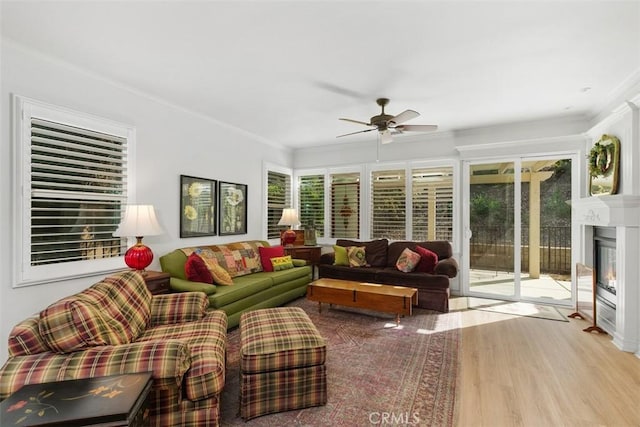 24247 Songsparrow Ln, Corona, CA 92883 - living room featuring wood finished floors, ceiling fan, ornamental molding, and a glass covered fireplace