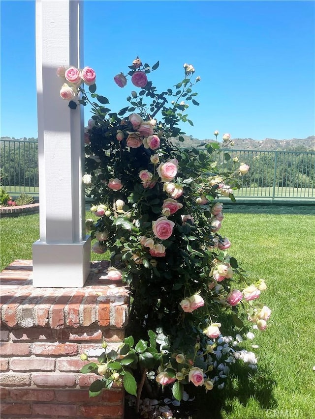 15 Canada Oaks, Coto De Caza, CA 92679 - photo 51